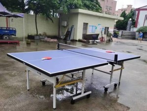 家用乒乓球桌收纳技巧（巧妙利用空间，便捷存放乒乓球桌）