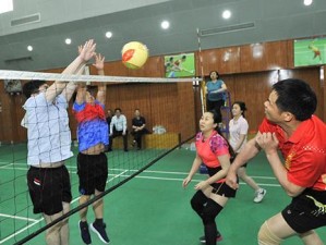 掌握排球扣杀起跳技巧，提高击球效果（以排球扣杀起跳动作要领为基础，打造稳定的发力平台）