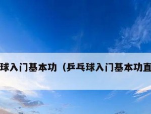 乒乓球基础与技术的全面解析（掌握乒乓球基本技术，提升比赛水平）