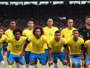 巴西队在世界杯赛场上的辉煌战绩（巴西队世界杯历史荣誉和失意的时刻）