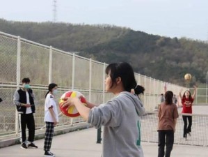 打排球的各个阶段动作要领（从入门到专业，掌握排球技术的关键）