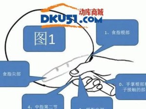 乒乓球直拍切球的技术要素及训练方法（掌握直拍切球，提高乒乓球水平）