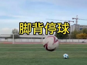 足球内侧停球技巧——掌握内侧停球，提升个人球技水平（从初学者到高手，内侧停球让你游刃有余）