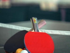 乒乓球入门直板接球技巧（提升技艺、击败对手，乒乓球技巧全攻略）