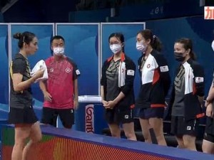 世界乒乓球比赛的技巧规则解析（掌握乒乓球比赛的关键技巧，提升比赛水平）