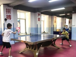 提高乒乓球直板正手推挡球技巧的关键要素（如何通过练习和技巧来提升乒乓球直板正手推挡球水平）