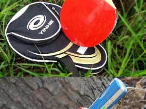 银河月球乒乓球胶皮（突破创新）