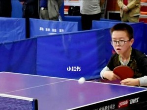 乒乓球打法的精要技巧（掌握这些技巧，让你在乒乓球场上无往不利）