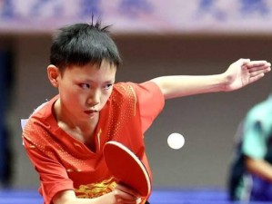 乒乓球故事成语大全——拍打出精彩人生（一场精彩的乒乓球赛，带你领略成语的智慧之美）