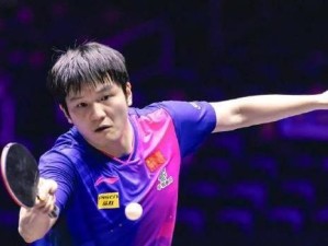 中国男乒选手（以奥运乒乓球男选手为主题的窥探之旅）