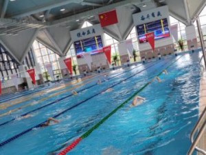 探讨宁波中考游泳技巧分数的评定标准