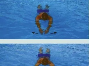快速学会游泳的技巧和要领（掌握游泳技巧的有效方法和关键要点）