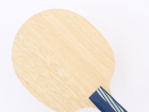 乒乓球底板（解析乒乓球底板的特点与影响比赛的因素）