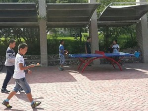 乒乓球绕球台接力技巧（如何通过绕球台接力训练提升乒乓球技巧？）